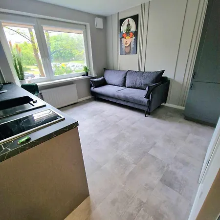 Namu Muza Self Check In Apartment Kaunas Exterior photo