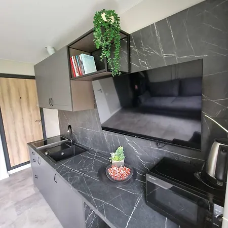 Namu Muza Self Check In Apartment Kaunas Exterior photo